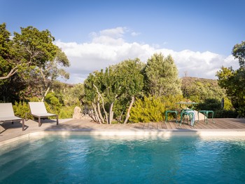 Swimming pool and terrace