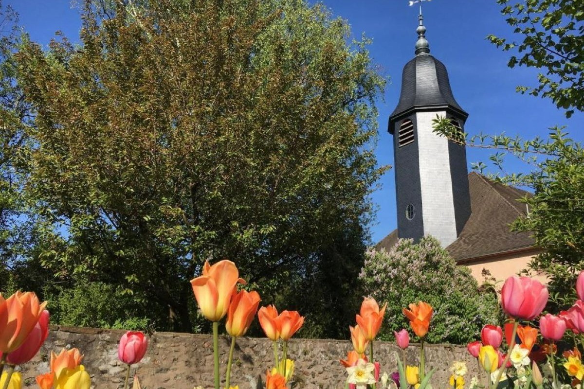 Photo n° 12 de la location