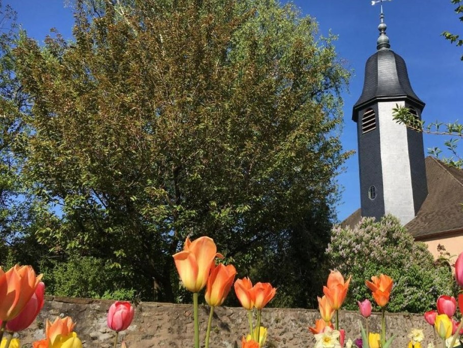 Photo n° 12 de la location