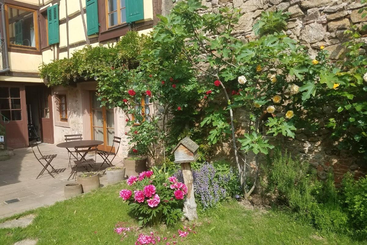 Photo n° 14 of the location