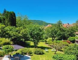 Le jardin en été
