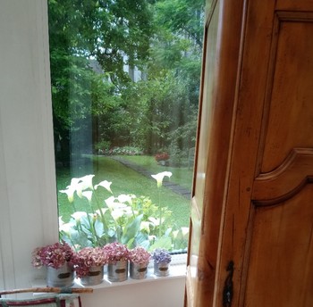 Photo n° 16 of the location