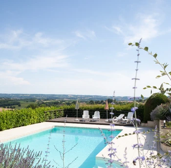 piscine fleurs de lavande