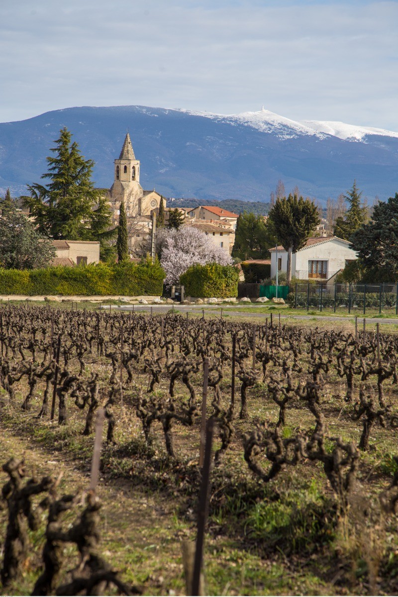 Mazan©A.Hocquel/VPA