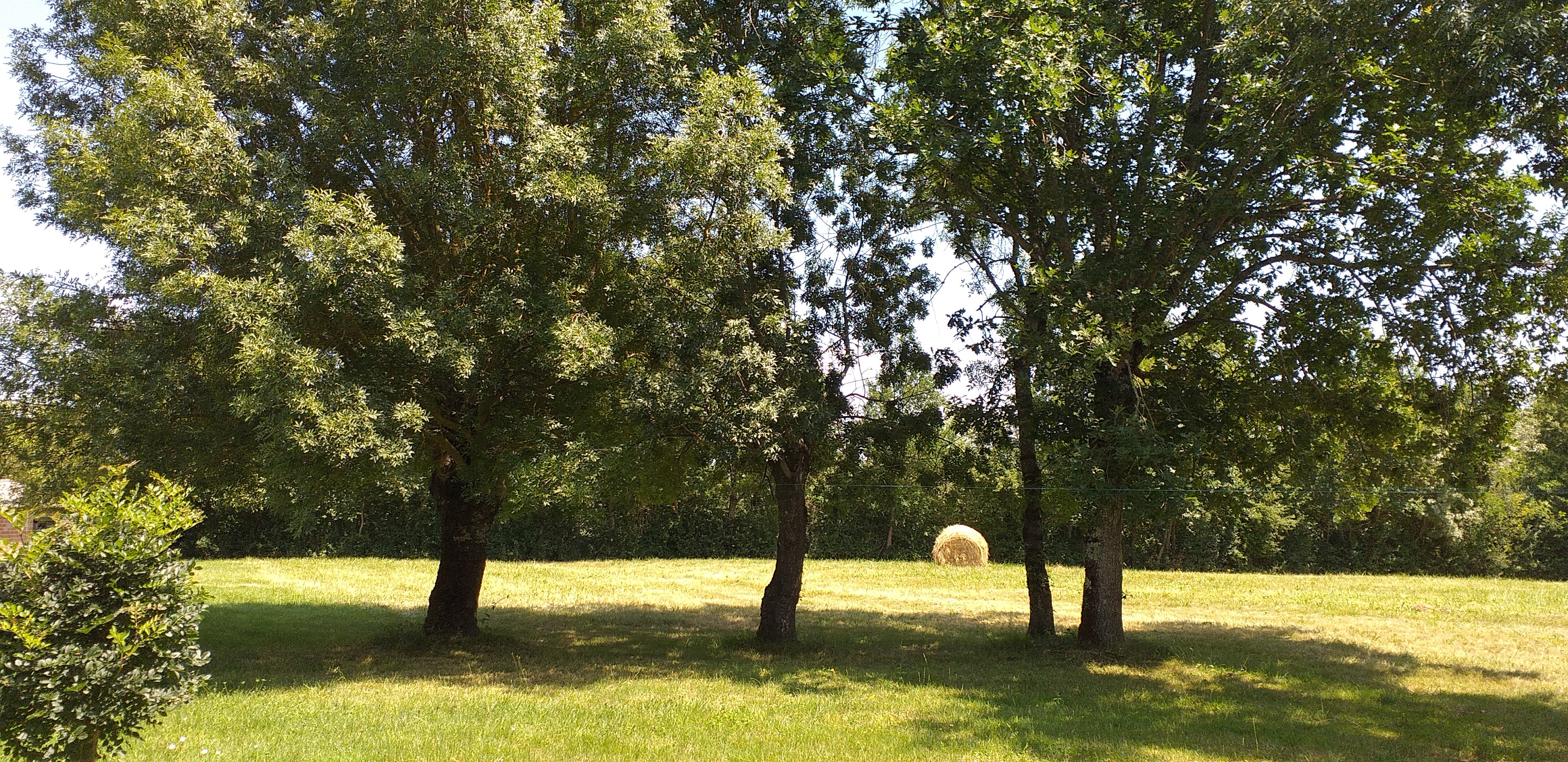 Espace naturel devant le gîte