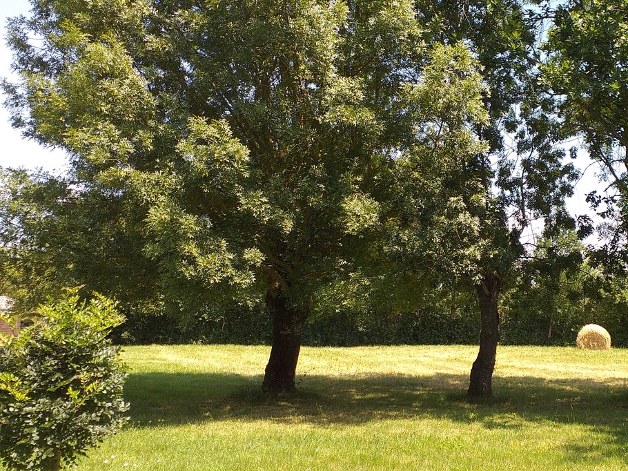 Espace naturel devant le gîte