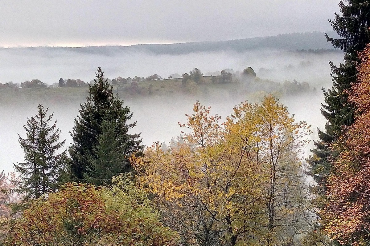 Brume automnale