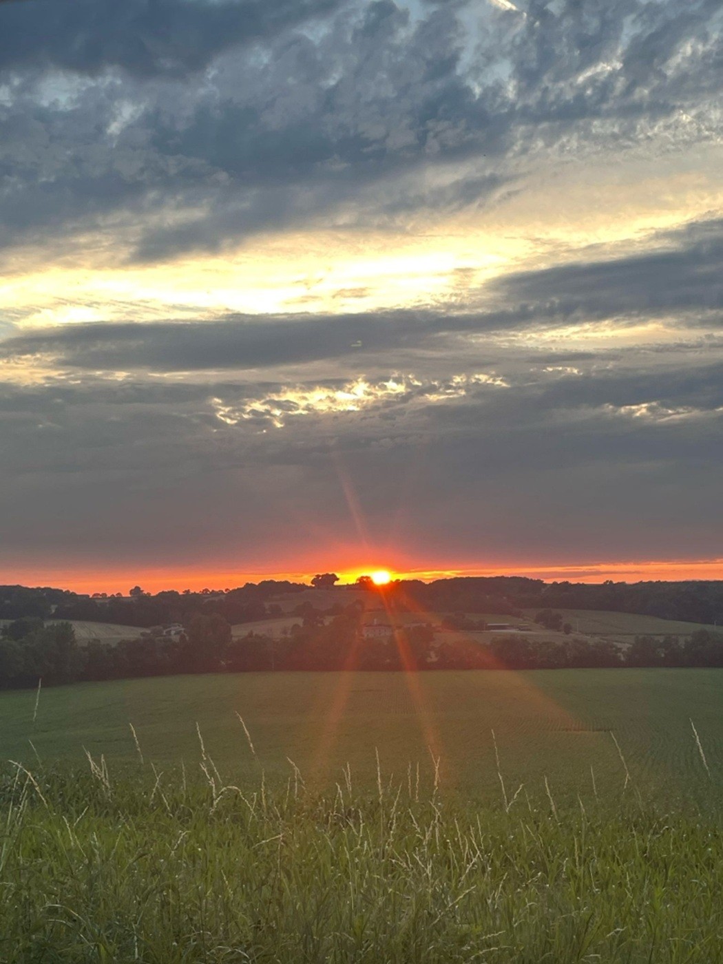 Photo n° 8 de la location