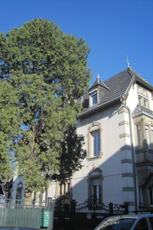 Photo n° 14 of the location
