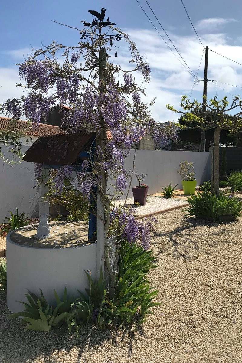 Photo n° 14 de la location