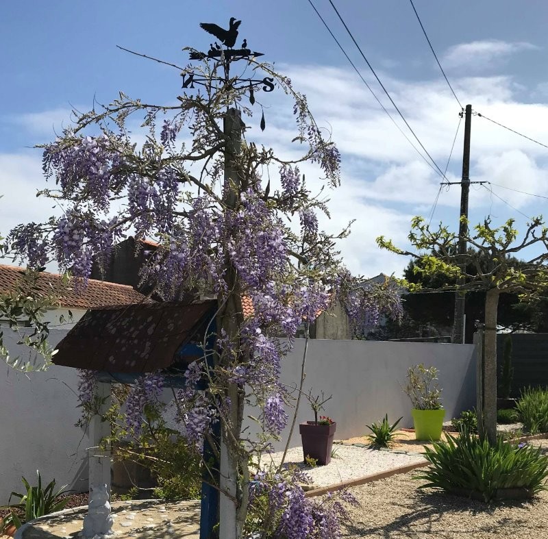 Photo n° 14 de la location