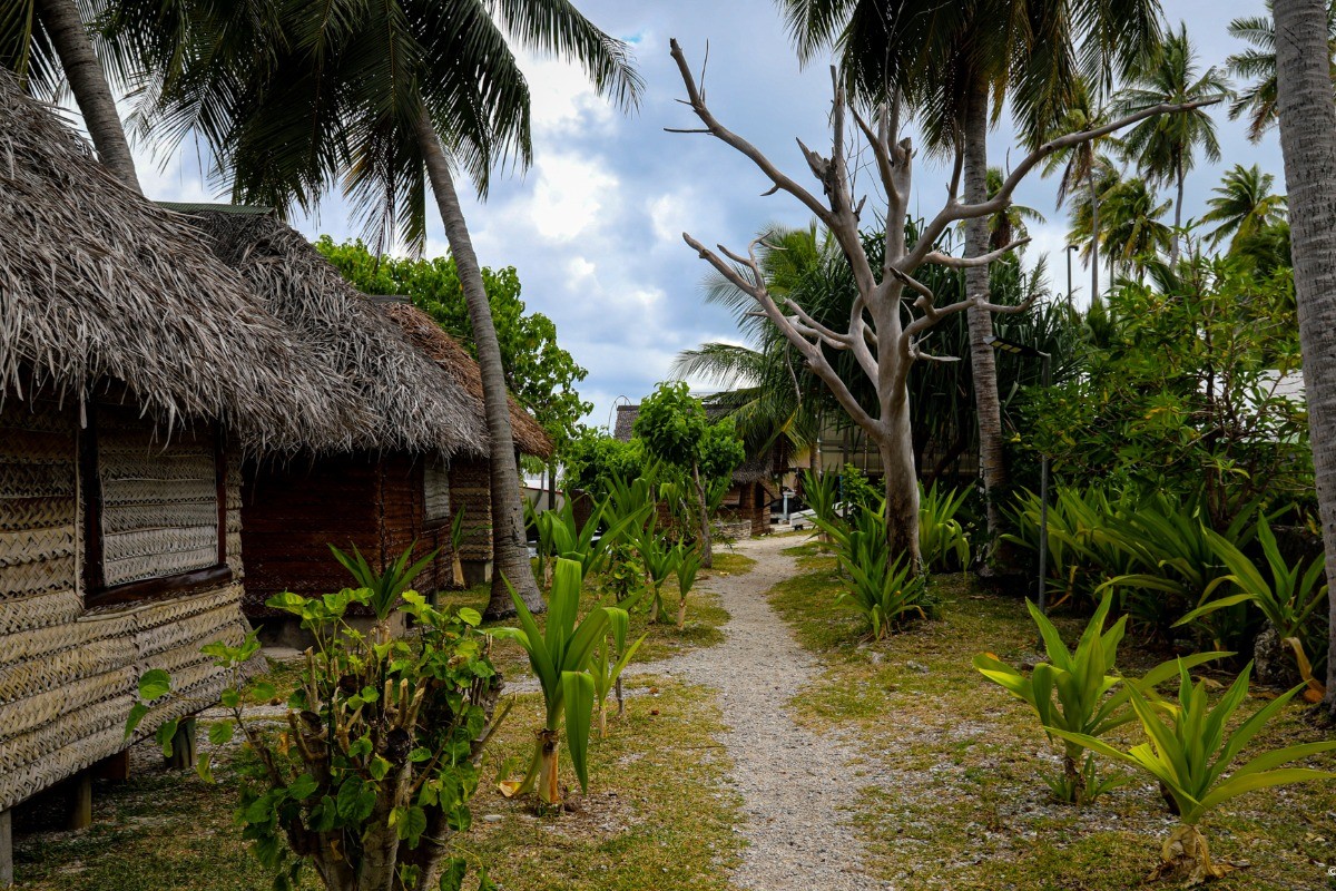 Photo n° 4 de la location