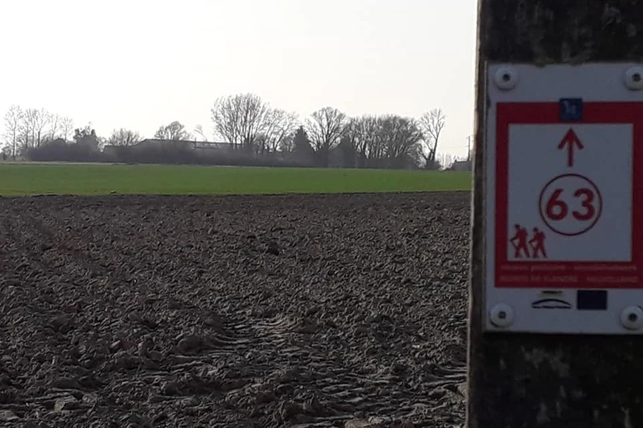 vu lors d'une balade autour du gite