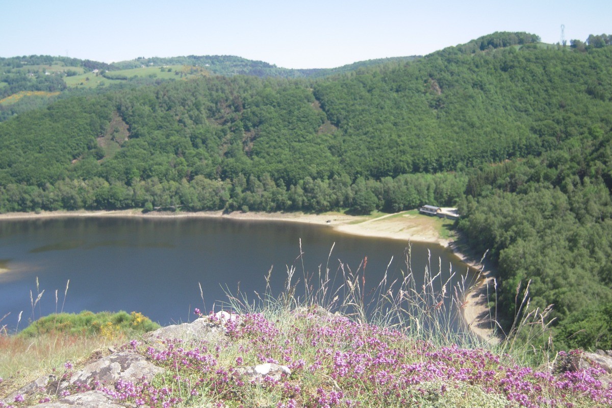 Photo n° 6 de la location