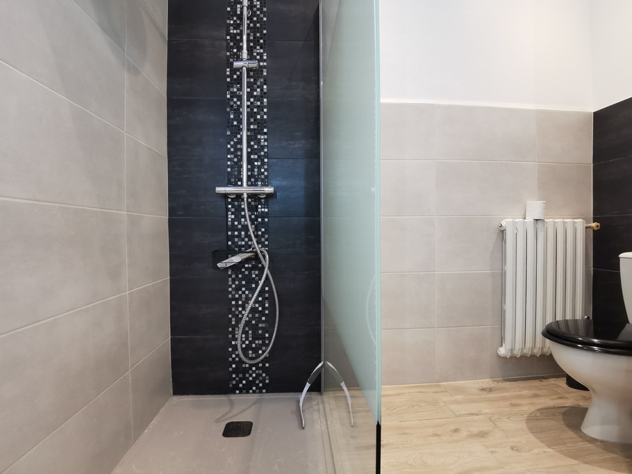 shower room with toilet