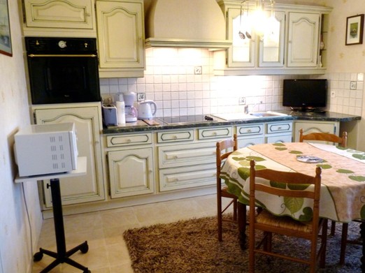 Pièce de vie avec coin cuisine aménagée et bien équipée et coin salon avec TV.