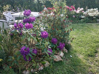 Photo n° 13 of the location