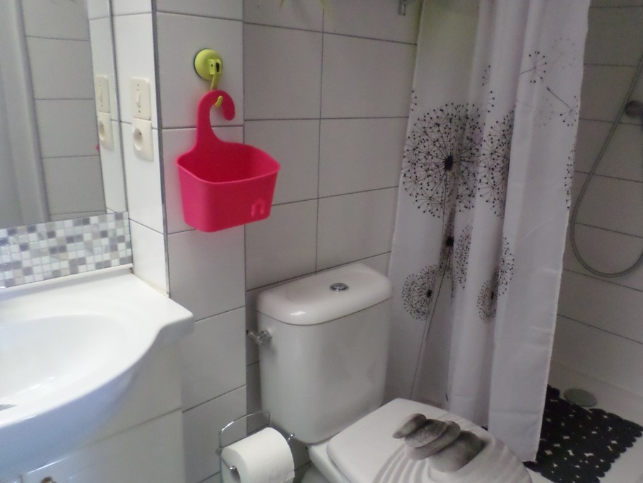 Salle d'eau -toilette