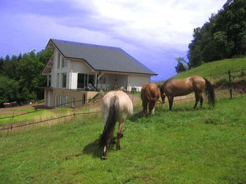 Photo n° 5 de la location