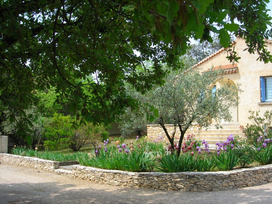 Chante Cigales au printemps