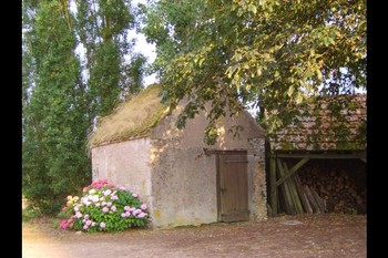 Photo n° 4 de la location