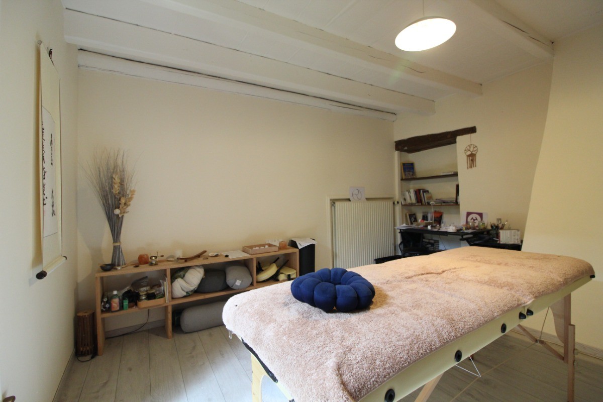 Reiki pratique énergétique japonaise en supplément - Chambre d'hôtes Ptolémée