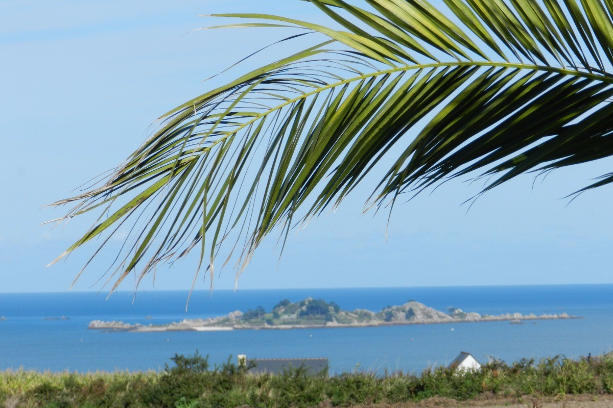 Photo n° 19 de la location