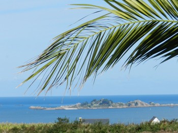 Photo n° 19 de la location