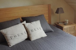 Image n° 5 de la location