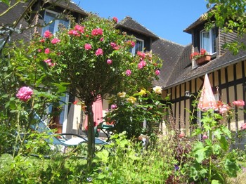 Chambre d'hôtes Myosotis - La petite vallée
