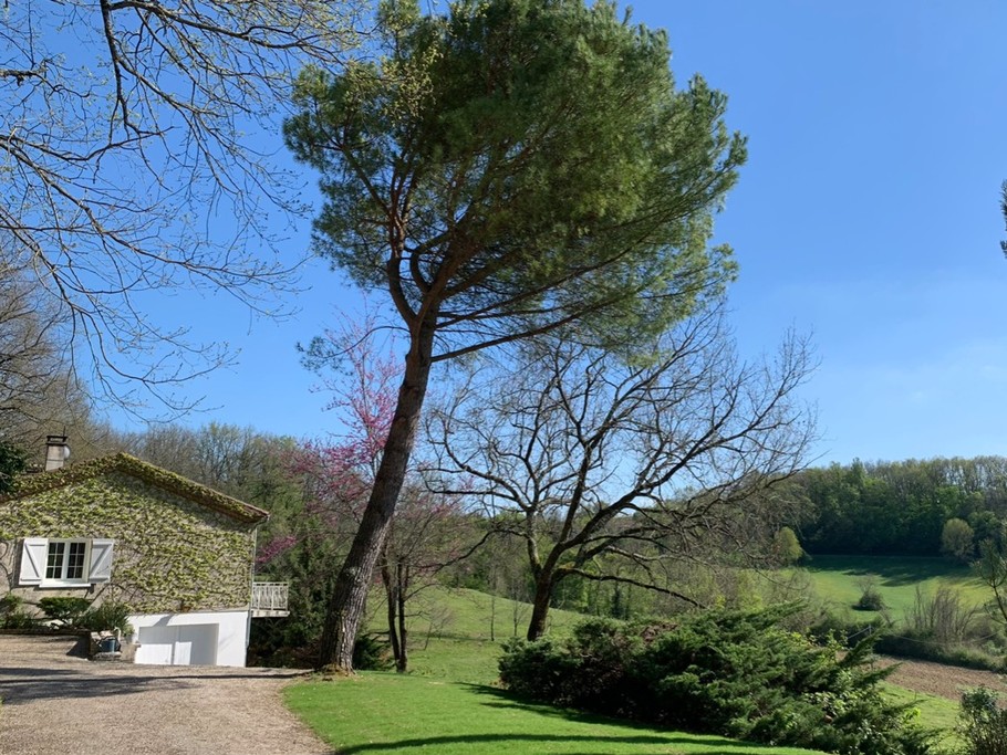 Photo n° 10 de la location