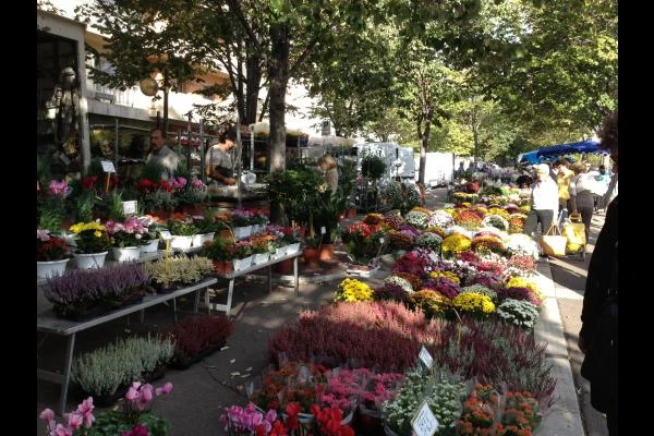 le marché aux fleurs tous les vendredis matin sur le Prado à l'ombres des tilleuls