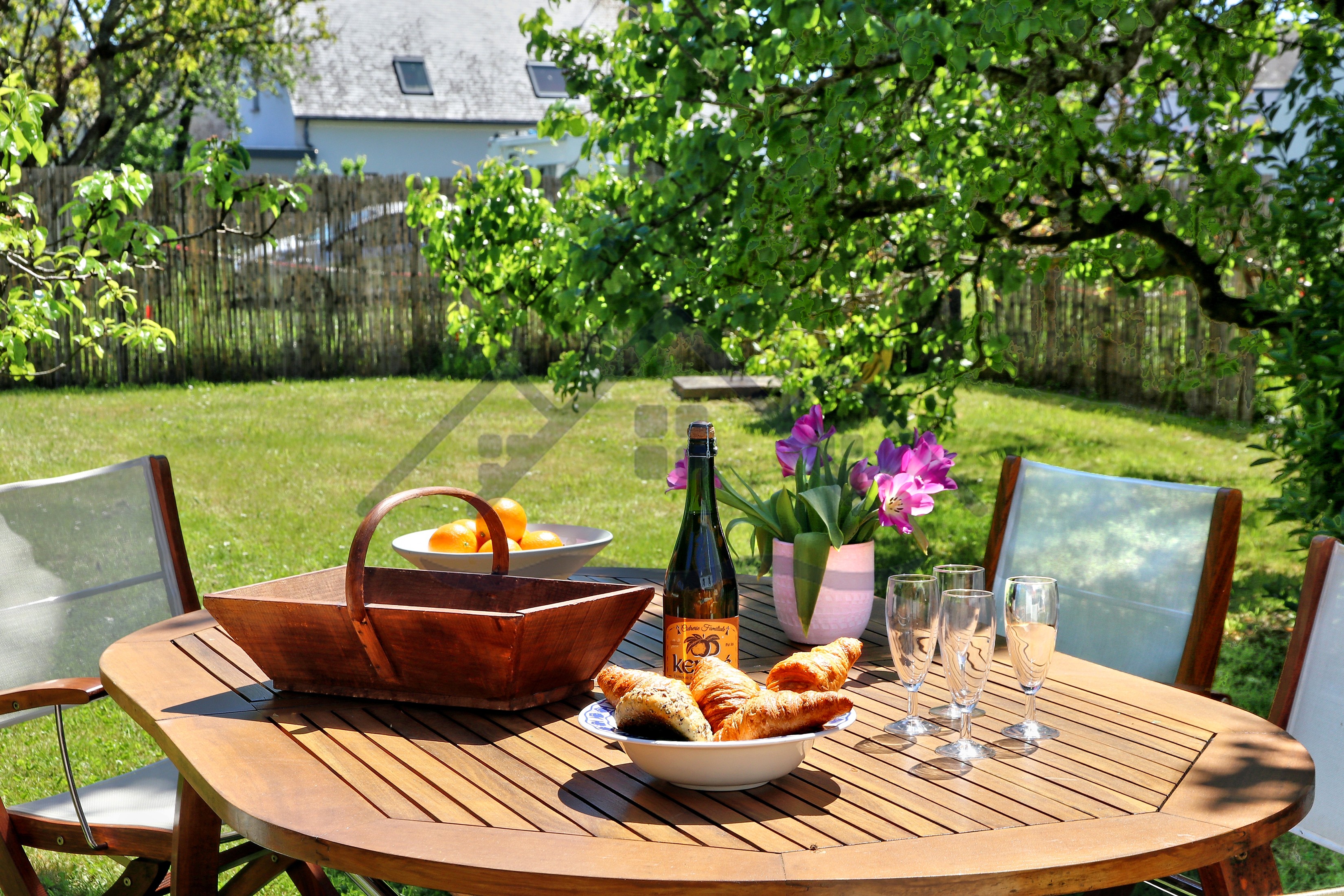 Photo n° 2 de la location