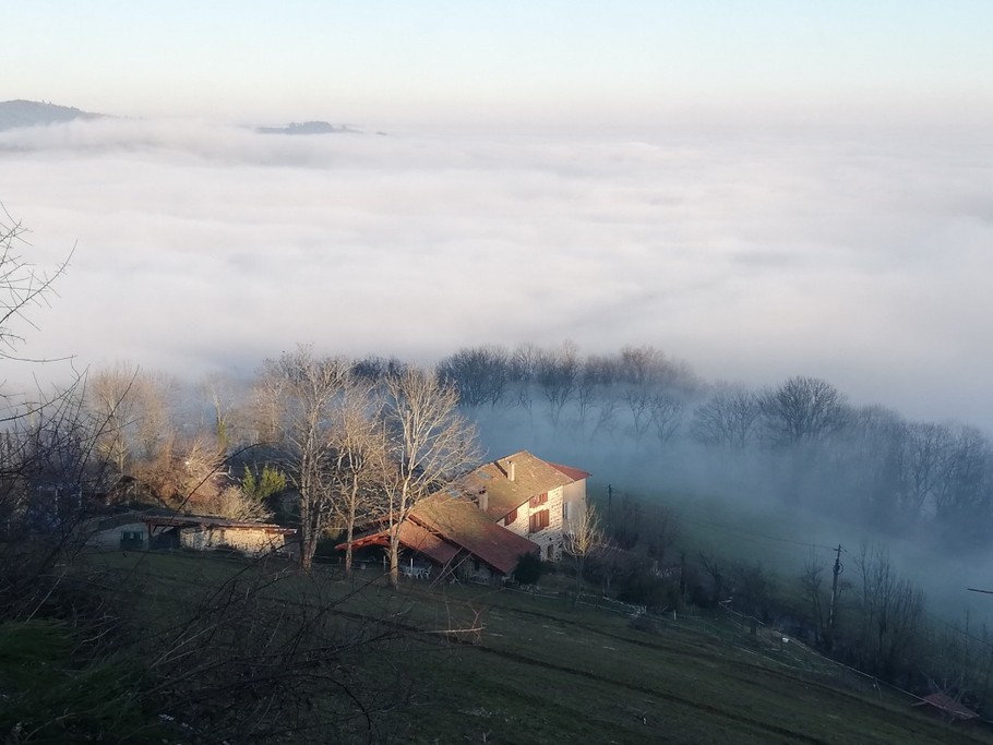 Maison dans la brume
