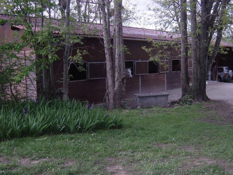 Photo n° 20 of the location