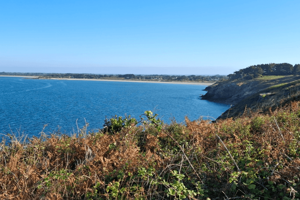 Photo n° 20 de la location