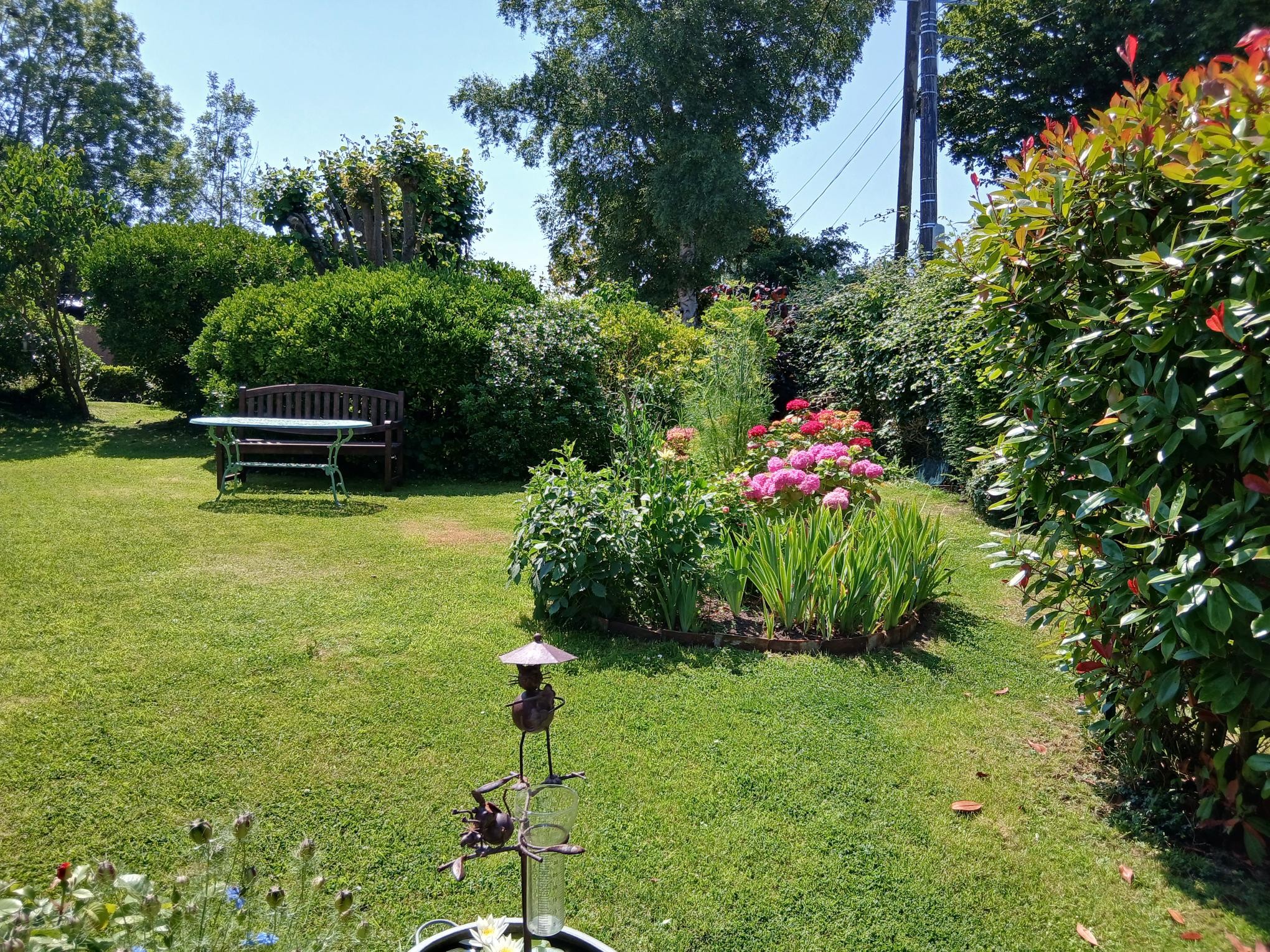jardin fleuri