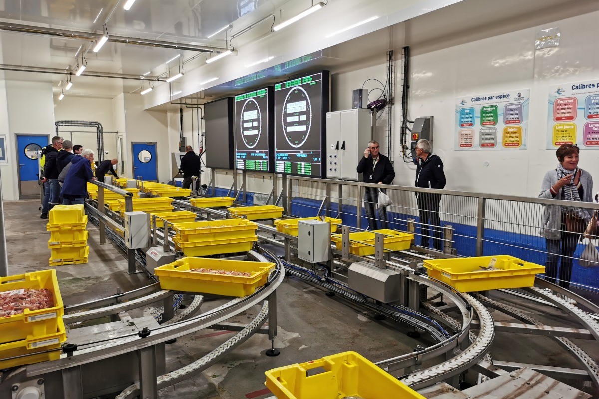 Visitez chaque jour la criée du Port de Pêche du Guilvinec