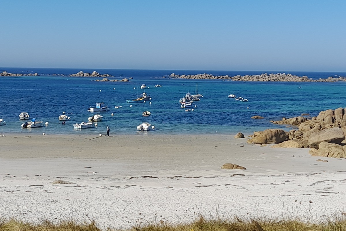 Plage à 100m