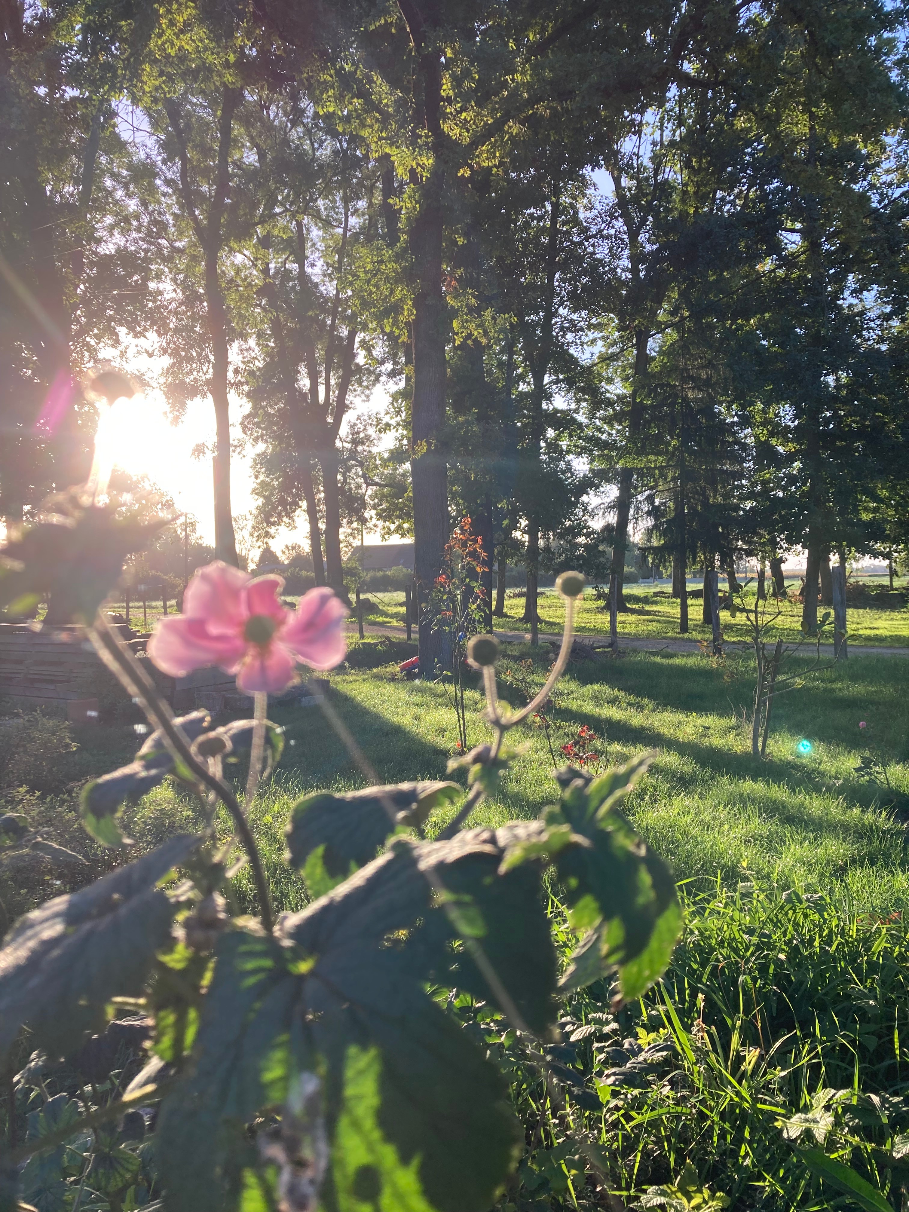 Photo n° 16 de la location