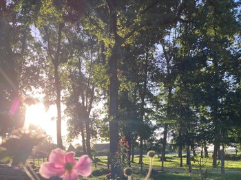 Photo n° 16 de la location