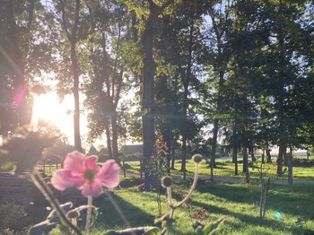 Photo n° 16 de la location