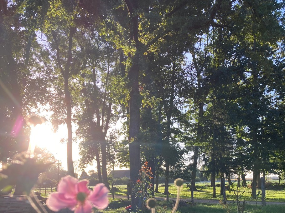 Photo n° 16 de la location