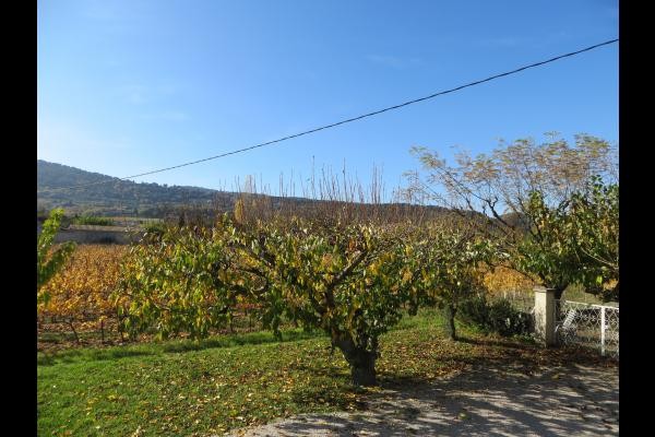 Photo n° 19 de la location