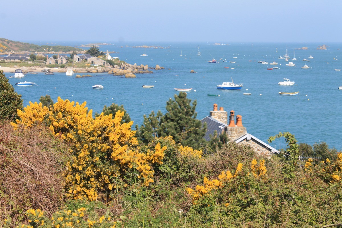 CHAUSEY