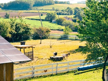 Photo n° 22 de la location