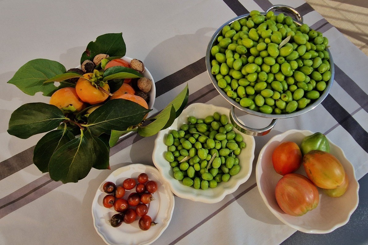 La nature est généreuse ! Produits du jardin du Bois de Lune