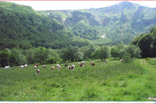 Vallée de Chaudefour