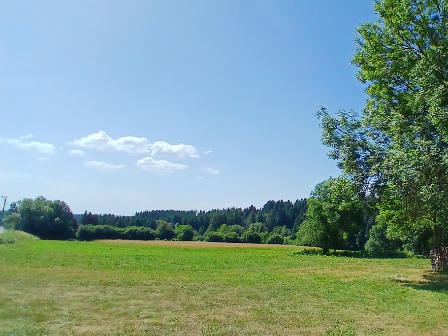 Gîte "Les Terrasses" en été