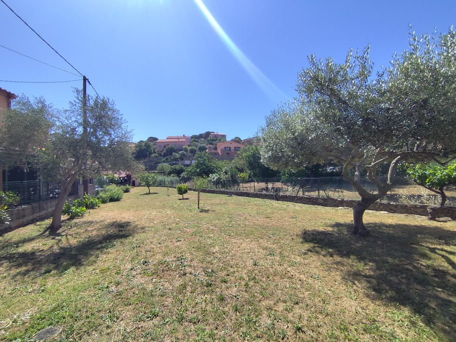 Back garden of the house